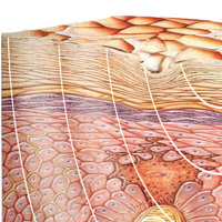 Kožní onemocnění